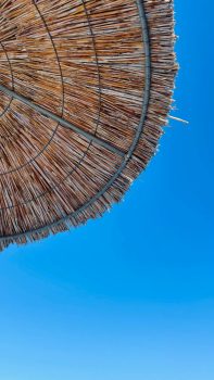 Canicule : que faire en cas de fortes chaleurs en France ? Conseils essentiels pour tous